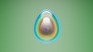 eggs: 3574