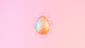 eggs: 479