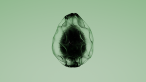 eggs: 2887