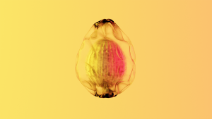 eggs: 3481