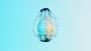eggs: 1455