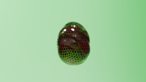 eggs: 3164