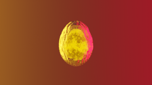 eggs: 1606