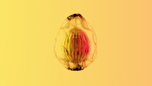 eggs: 717