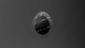 eggs: 3954