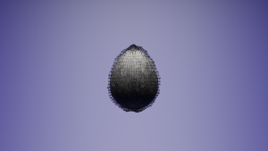 eggs: 642