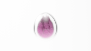 eggs: 1945