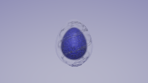 eggs: 2385
