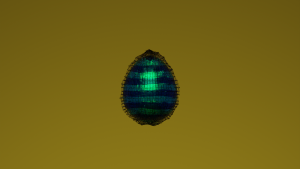 eggs: 564