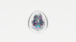 eggs: 1855