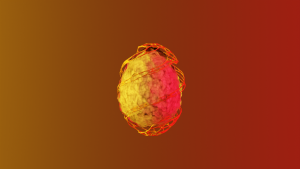 eggs: 1965