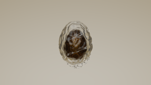 eggs: 1112