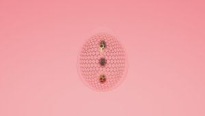 eggs: 552