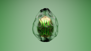 eggs: 745