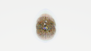 eggs: 2228