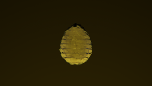 eggs: 749