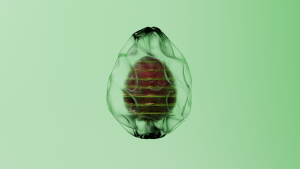 eggs: 1116