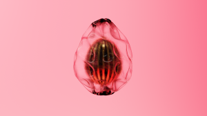 eggs: 1591
