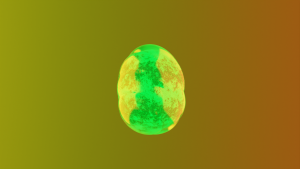 eggs: 619