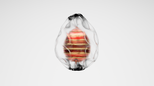 eggs: 2475