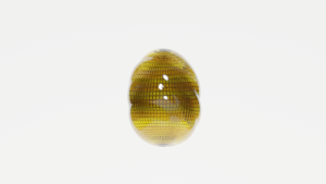 eggs: 279