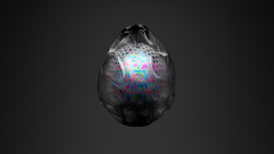 eggs: 2894