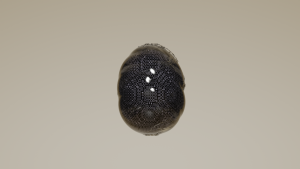 eggs: 405