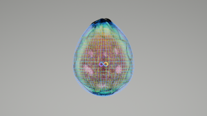eggs: 2256