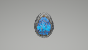 eggs: 844