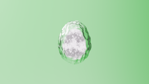 eggs: 116