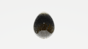 eggs: 714