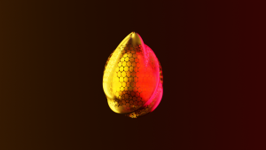 eggs: 913