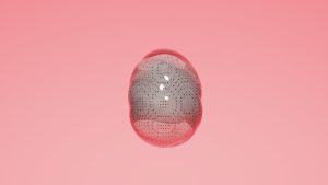 eggs: 504
