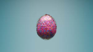 eggs: 33