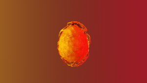 eggs: 3659