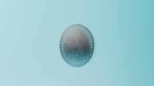 eggs: 2553