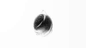 eggs: 156