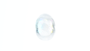 eggs: 1845